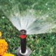 Sprinkler Head and Nozzle